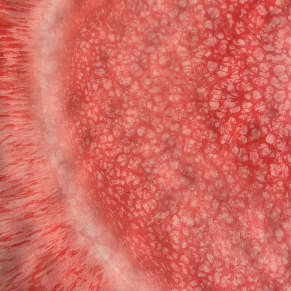 New pier one coral serving plate - Picture 4 of 4